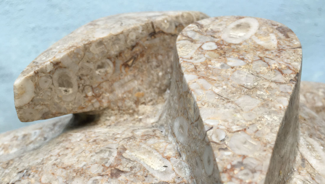 Swa;edale fossil limestone
